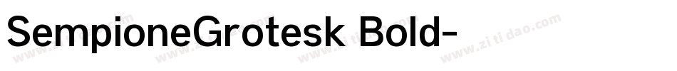 SempioneGrotesk Bold字体转换